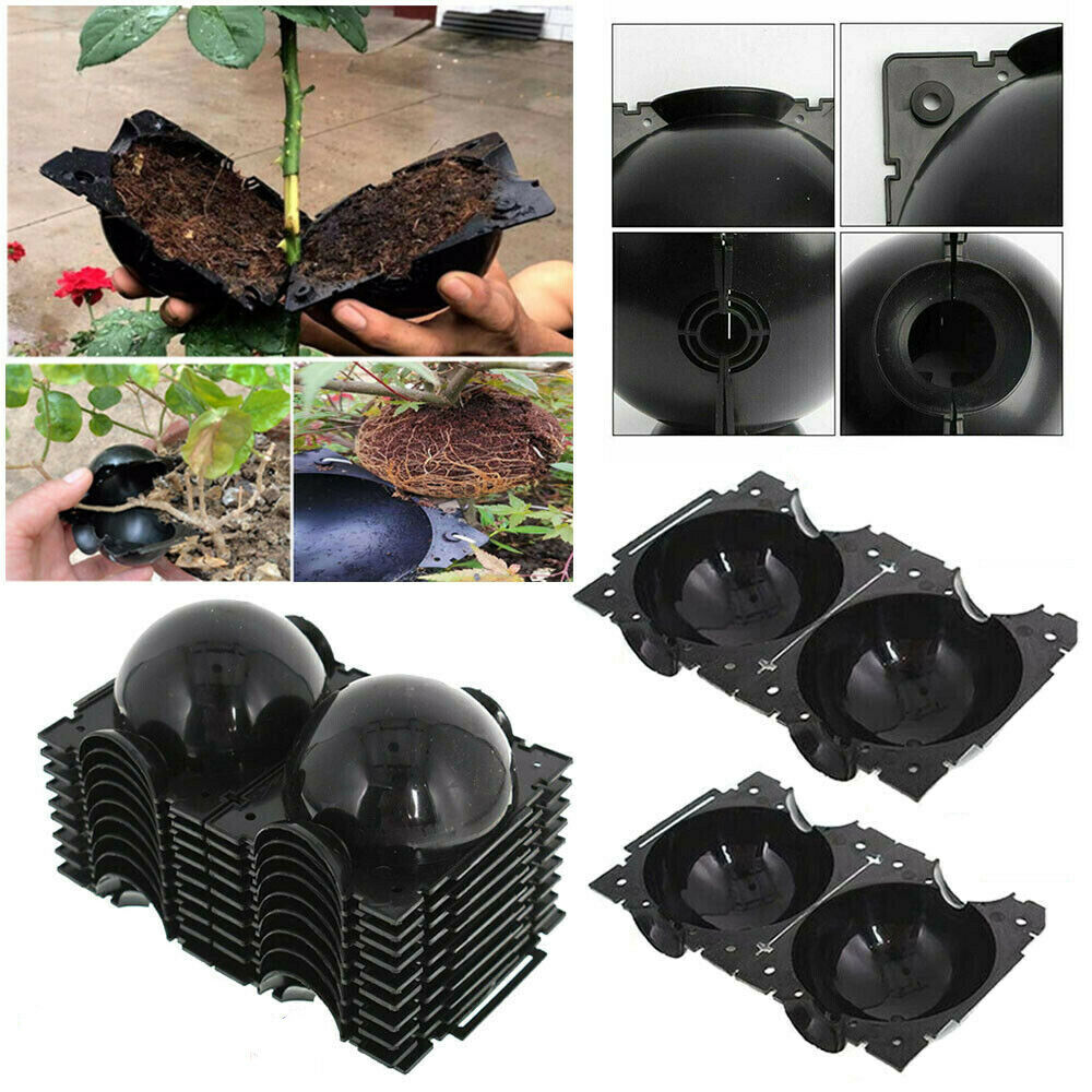 Set of 3 Large Plant Rooting Device High Pressure Propagation Ball Box Growing Grafting