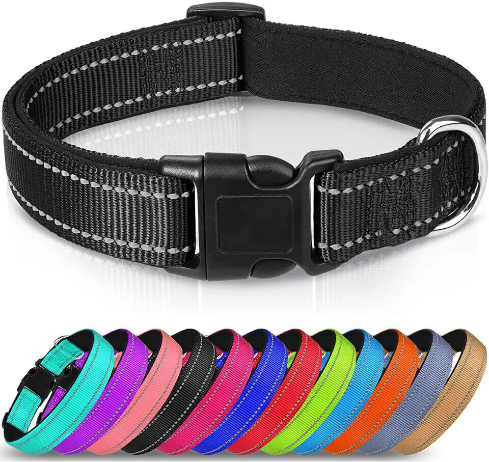 Small Black Reflective Neoprene Adjustable Padded Nylon Dog Collar