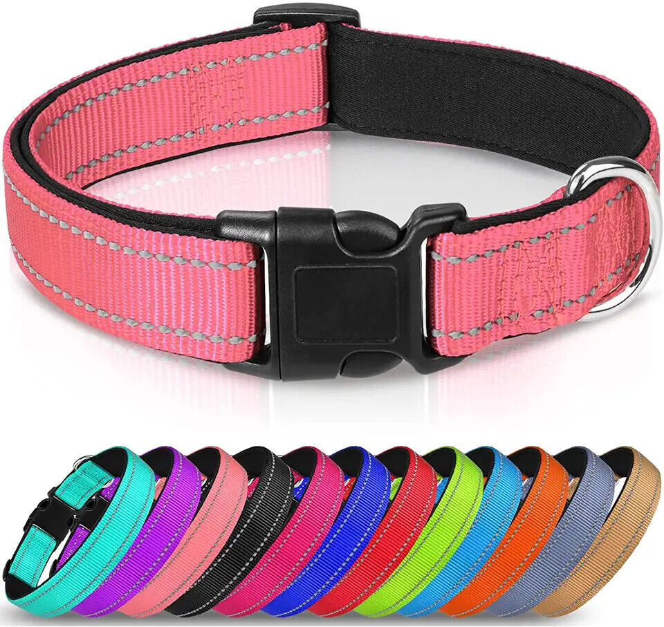Small Pink Reflective Neoprene Adjustable Padded Nylon Dog Collar