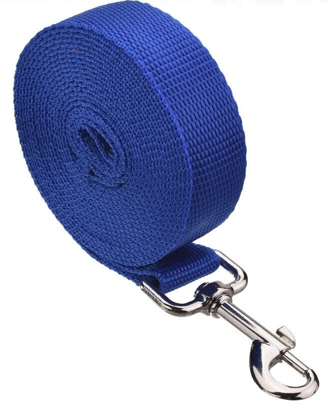 Blue Dog Pet Puppy Training Lead Leash 50ft 15m Long Obedience Recall 1 Inch Wide
